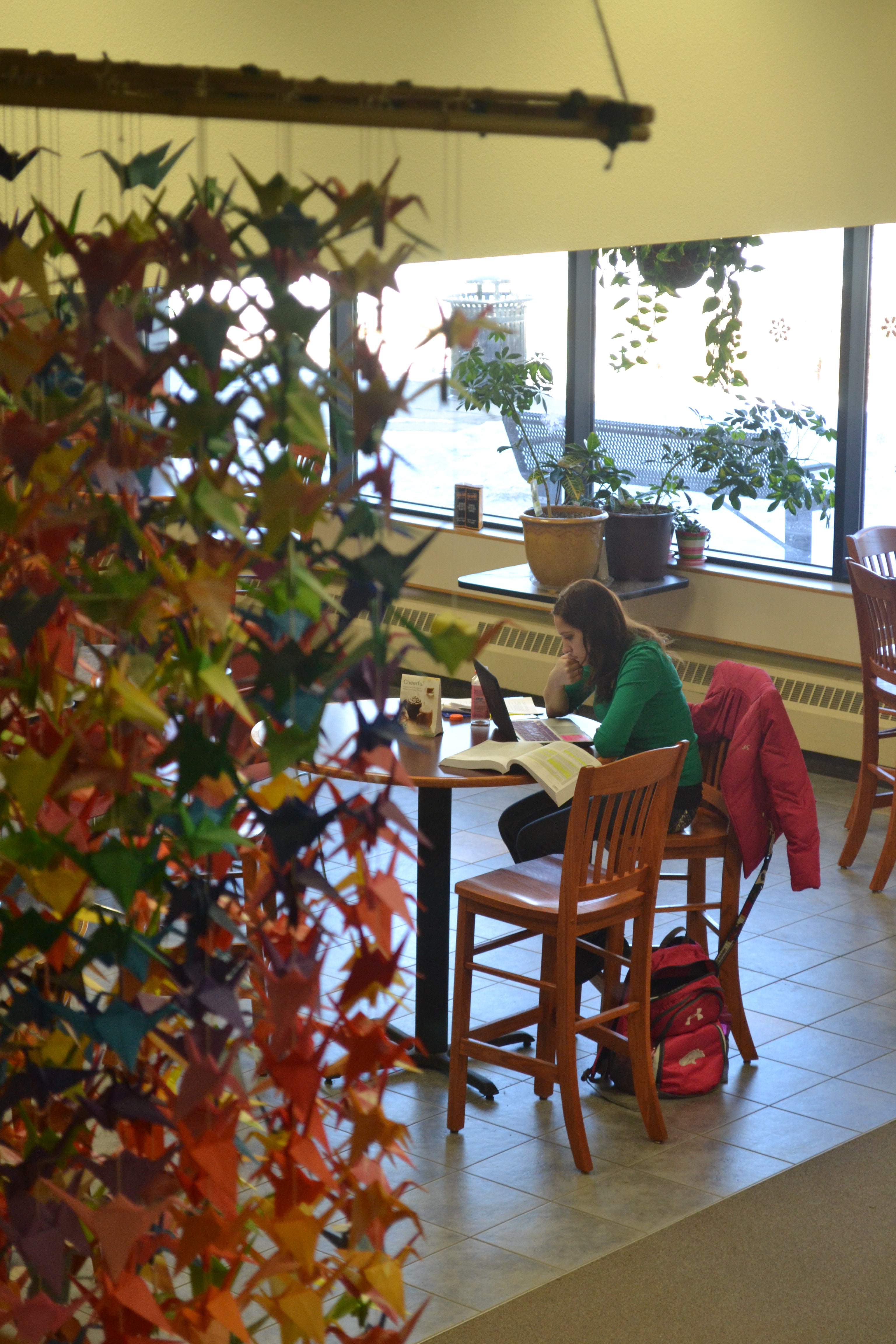 Morningside student Gigi Austen studies in the Spoonholder Cafe Tuesday.