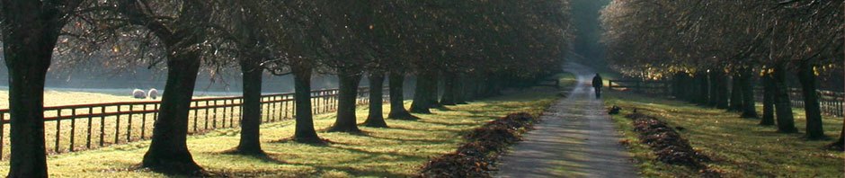 Intro to Religion Blog