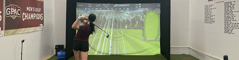 Golfers enjoy simulation