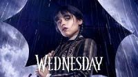 Wednesday- A Review